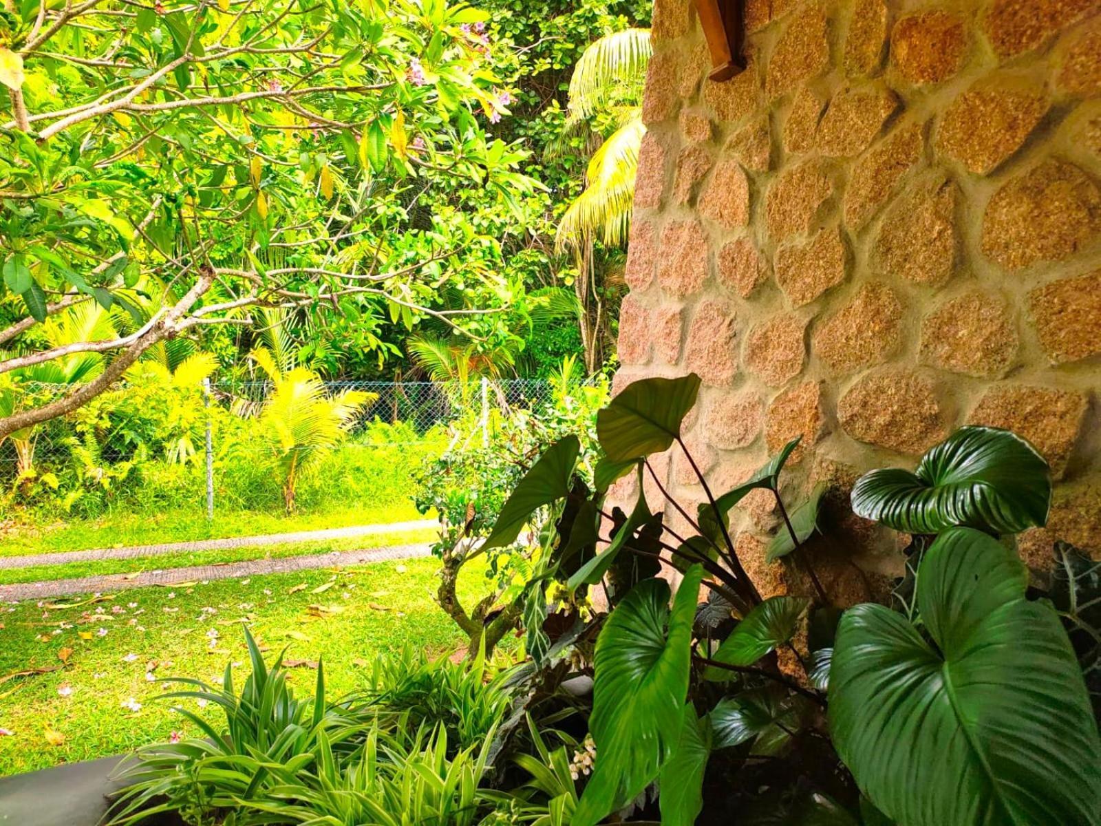 The Islander Hotel Grand Anse  Kültér fotó